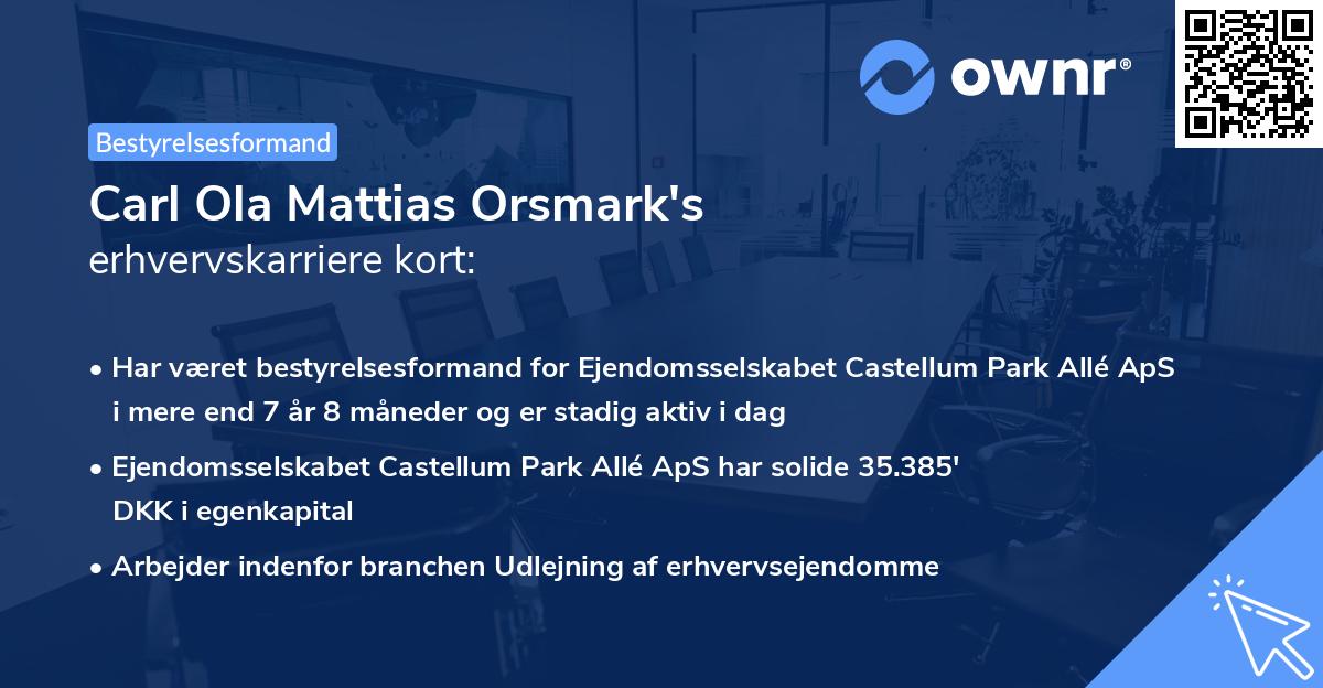 Carl Ola Mattias Orsmark's erhvervskarriere kort