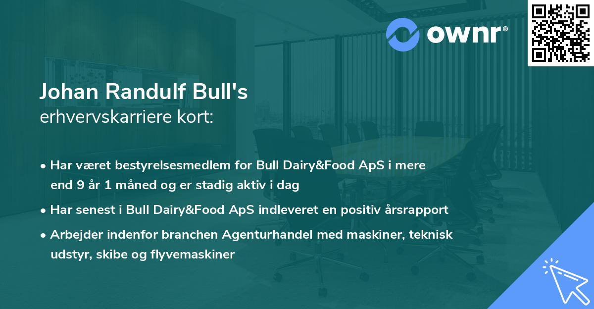 Johan Randulf Bull's erhvervskarriere kort