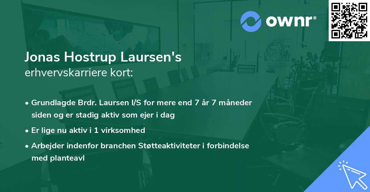 Jonas Hostrup Laursen's erhvervskarriere kort