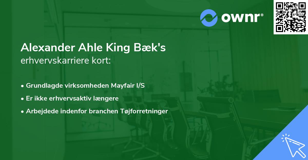 Alexander Ahle King Bæk's erhvervskarriere kort