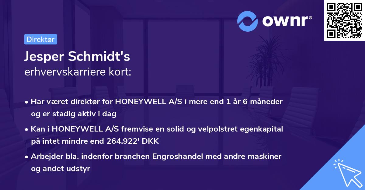 Jesper Schmidt's erhvervskarriere kort