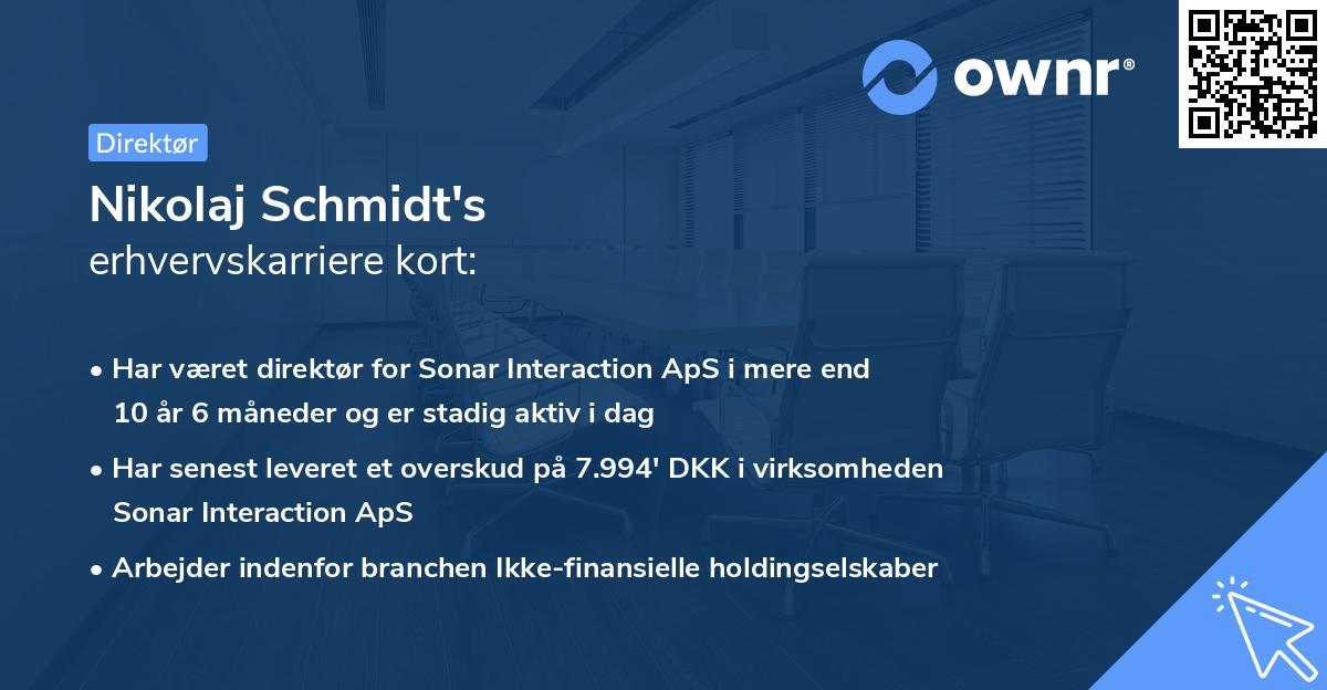 Nikolaj Schmidt's erhvervskarriere kort