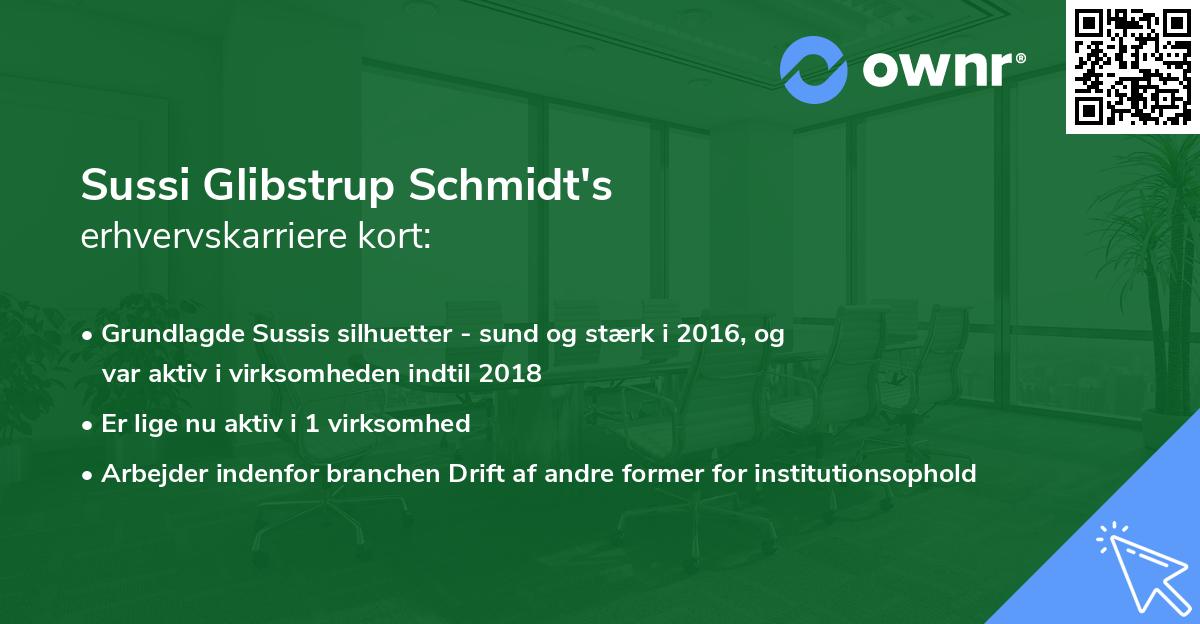 Sussi Glibstrup Schmidt's erhvervskarriere kort