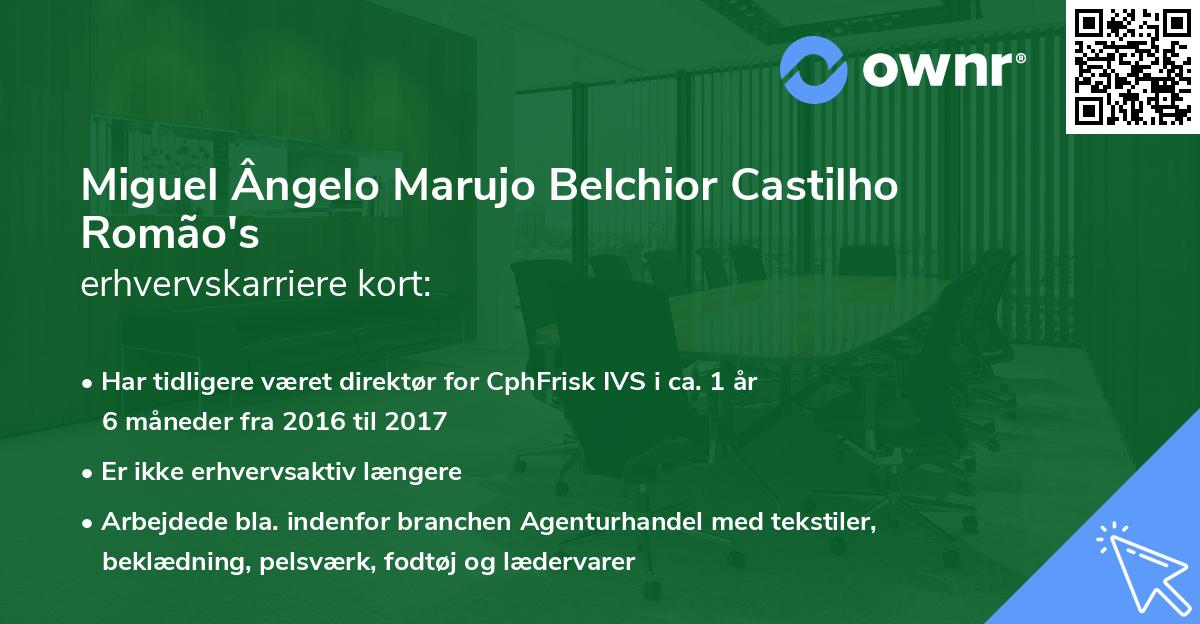 Miguel Ângelo Marujo Belchior Castilho Romão's erhvervskarriere kort