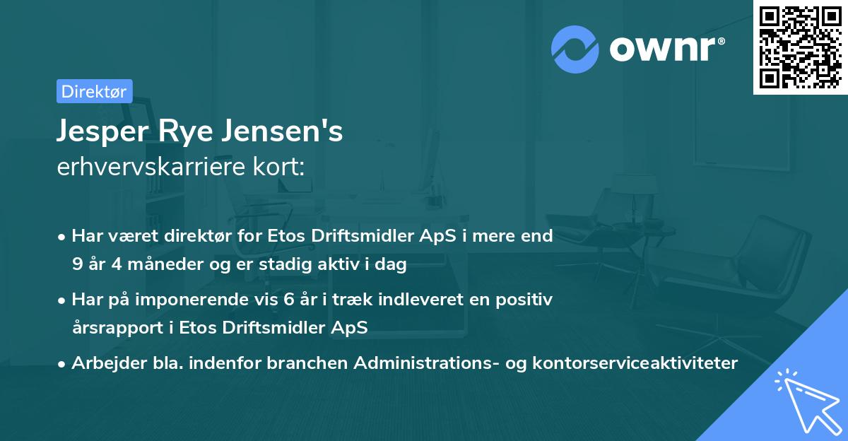 Jesper Rye Jensen's erhvervskarriere kort