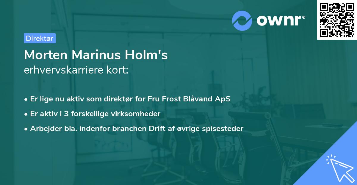 Morten Marinus Holm's erhvervskarriere kort