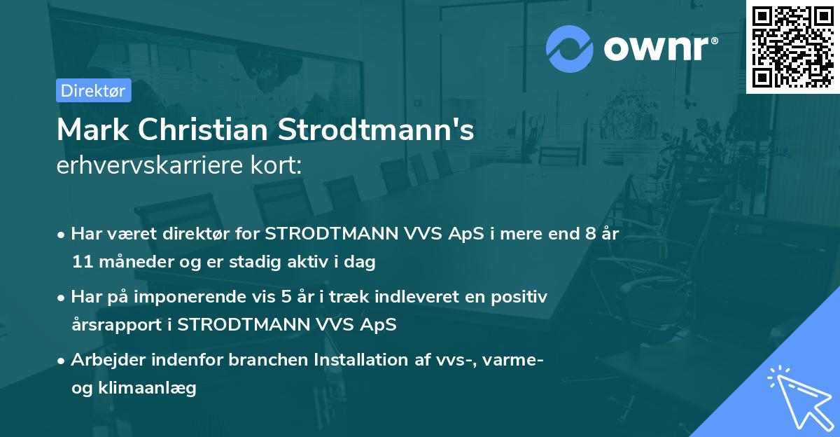 Mark Christian Strodtmann's erhvervskarriere kort