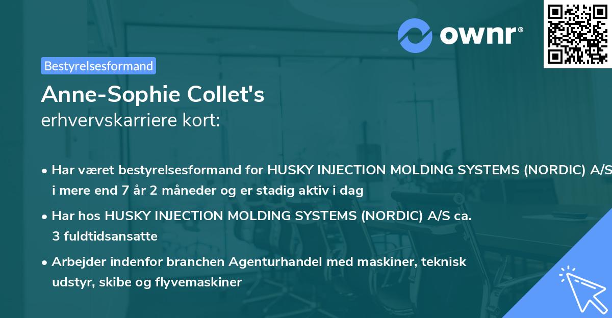 Anne-Sophie Collet's erhvervskarriere kort