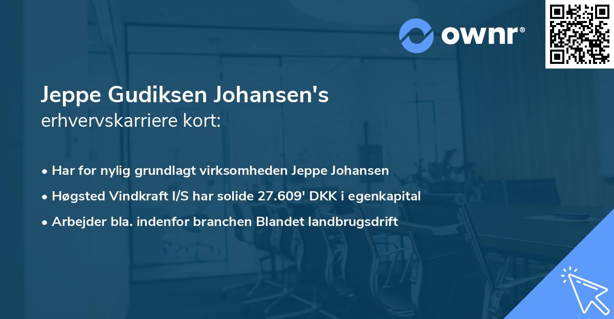 Jeppe Gudiksen Johansen's erhvervskarriere kort