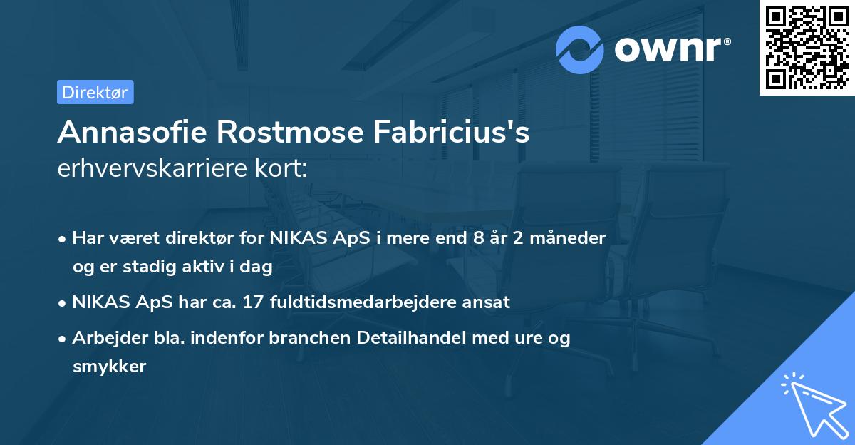 Annasofie Rostmose Fabricius's erhvervskarriere kort