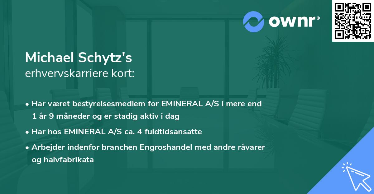 Michael Schytz's erhvervskarriere kort