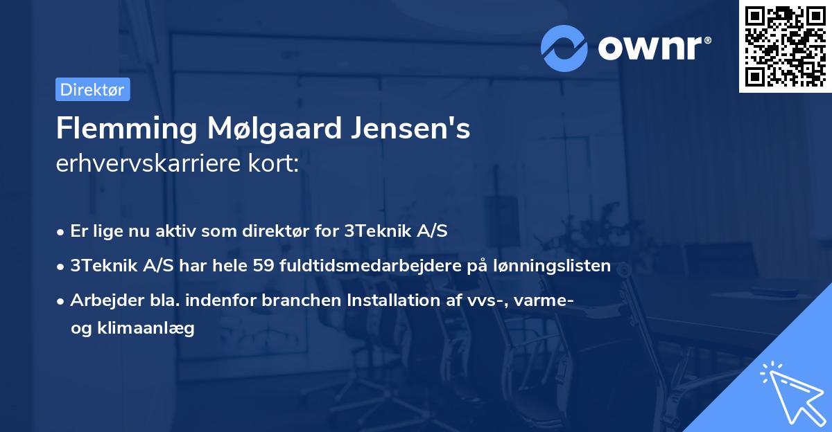 Flemming Mølgaard Jensen's erhvervskarriere kort
