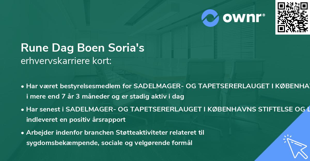 Rune Dag Boen Soria's erhvervskarriere kort