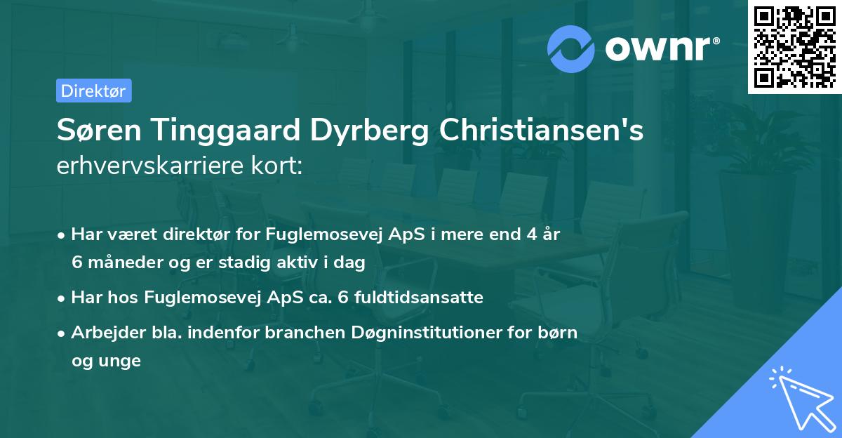 Søren Tinggaard Dyrberg Christiansen's erhvervskarriere kort