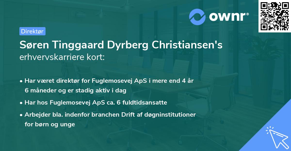 Søren Tinggaard Dyrberg Christiansen's erhvervskarriere kort