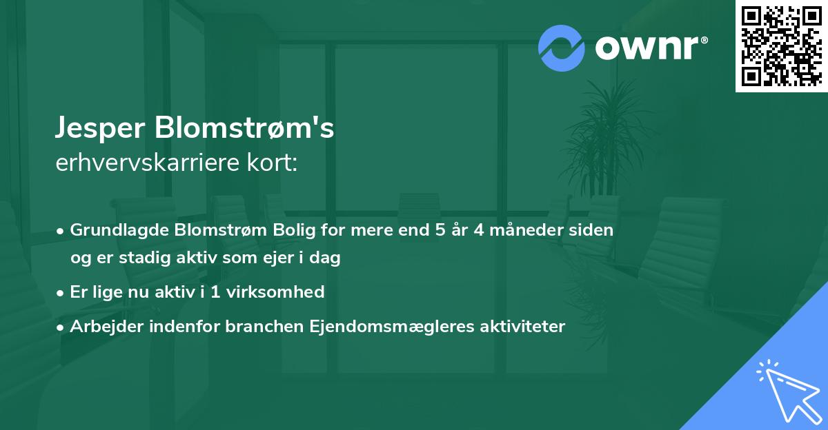 Jesper Blomstrøm's erhvervskarriere kort