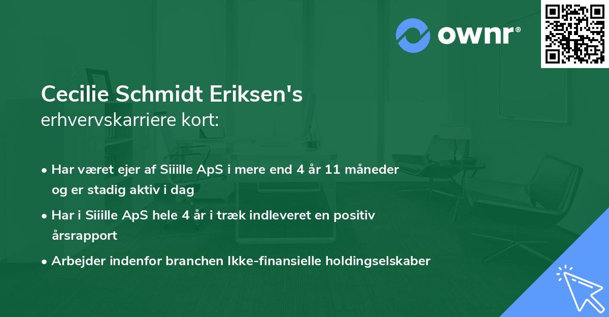 Cecilie Schmidt Eriksen's erhvervskarriere kort