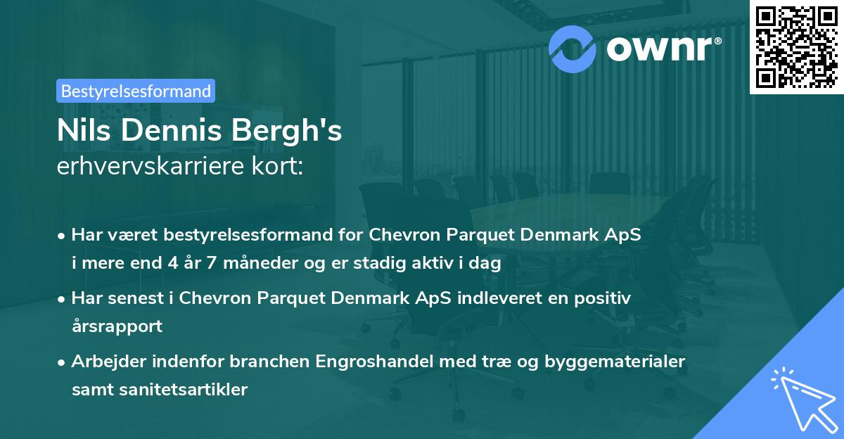 Nils Dennis Bergh's erhvervskarriere kort