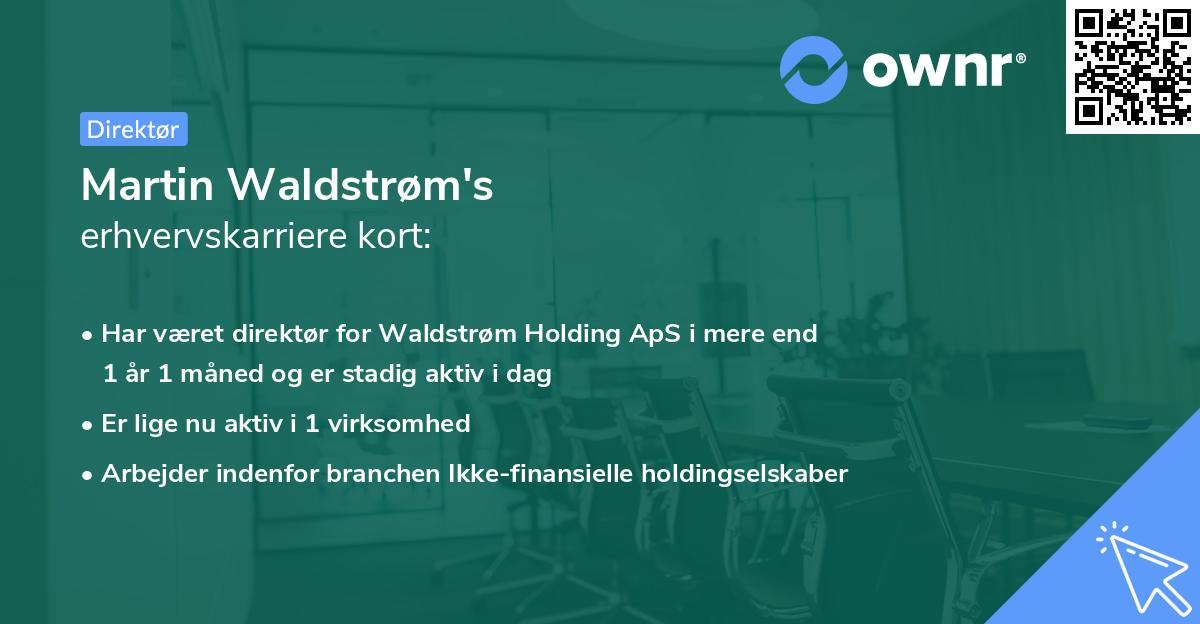 Martin Waldstrøm's erhvervskarriere kort
