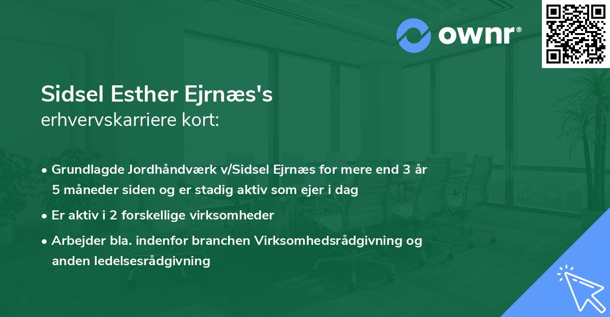 Sidsel Esther Ejrnæs's erhvervskarriere kort