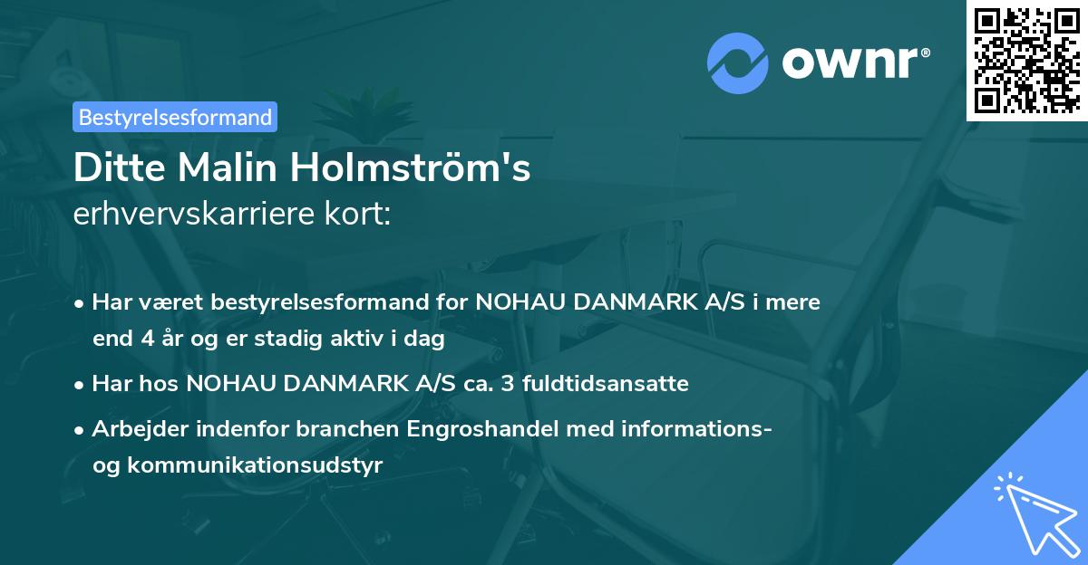 Ditte Malin Holmström's erhvervskarriere kort