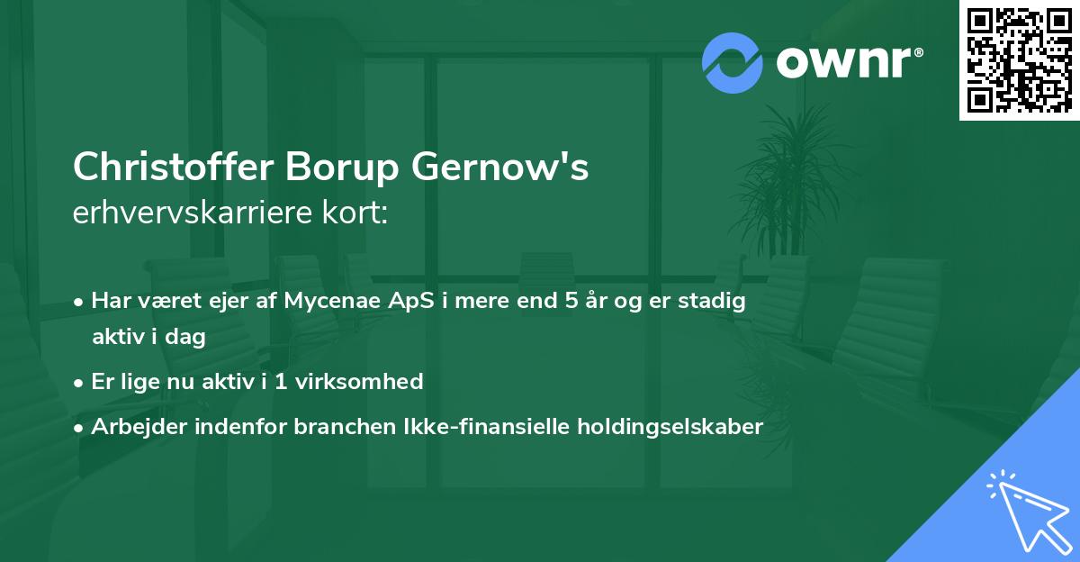 Christoffer Borup Gernow's erhvervskarriere kort