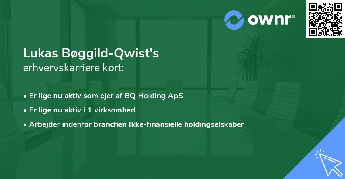 Lukas Bøggild-Qwist's erhvervskarriere kort