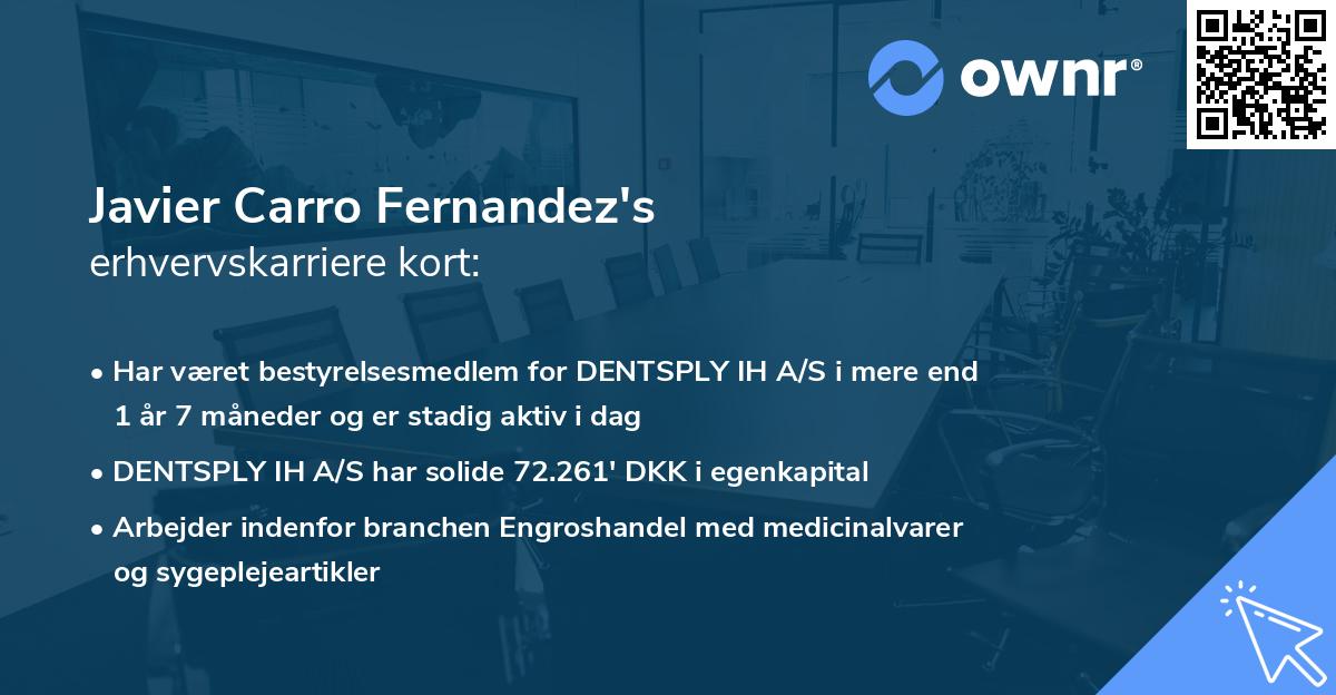 Javier Carro Fernandez's erhvervskarriere kort