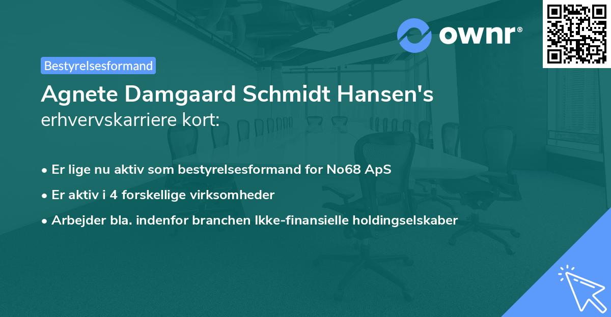 Agnete Damgaard Schmidt Hansen's erhvervskarriere kort