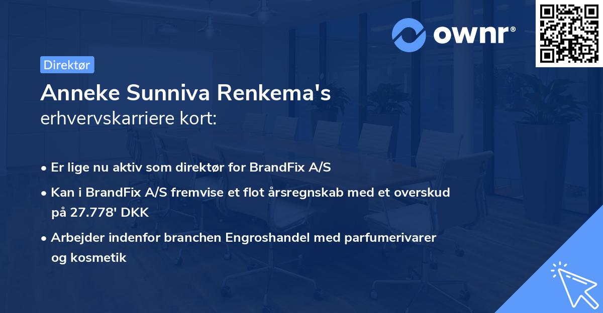 Anneke Sunniva Renkema's erhvervskarriere kort
