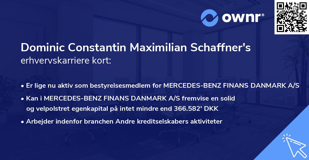 Dominic Constantin Maximilian Schaffner's erhvervskarriere kort