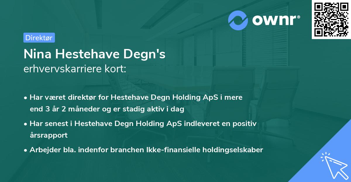 Nina Hestehave Degn's erhvervskarriere kort