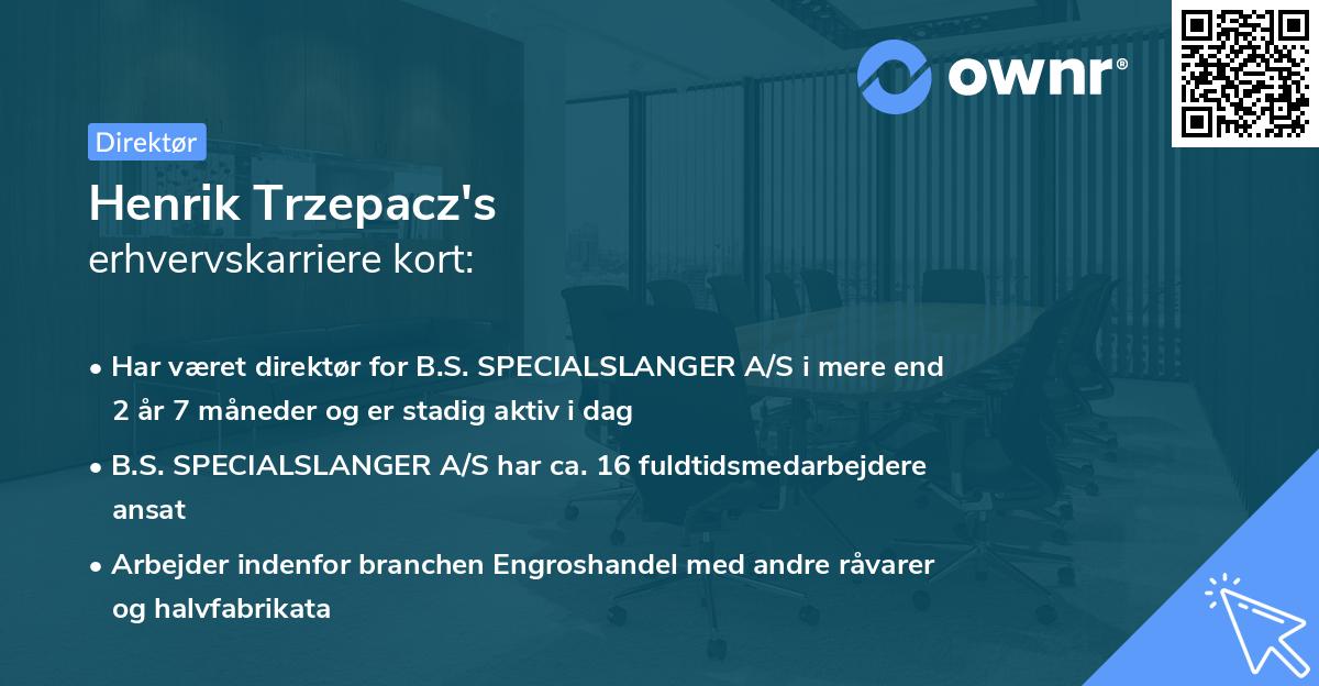 Henrik Trzepacz's erhvervskarriere kort