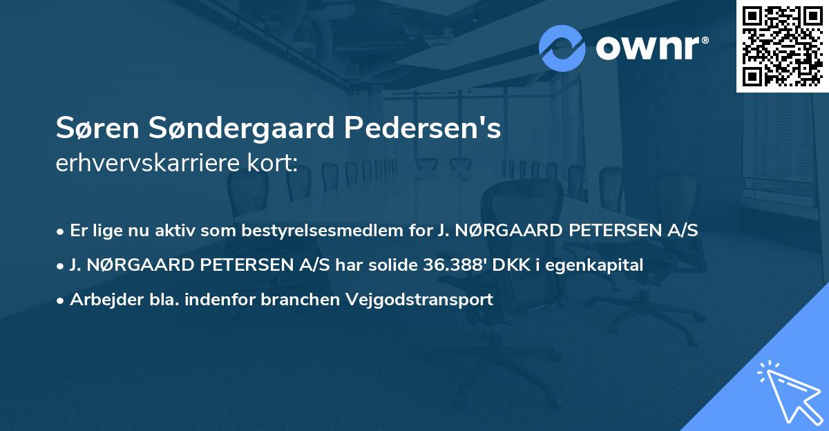 Søren Søndergaard Pedersen's erhvervskarriere kort