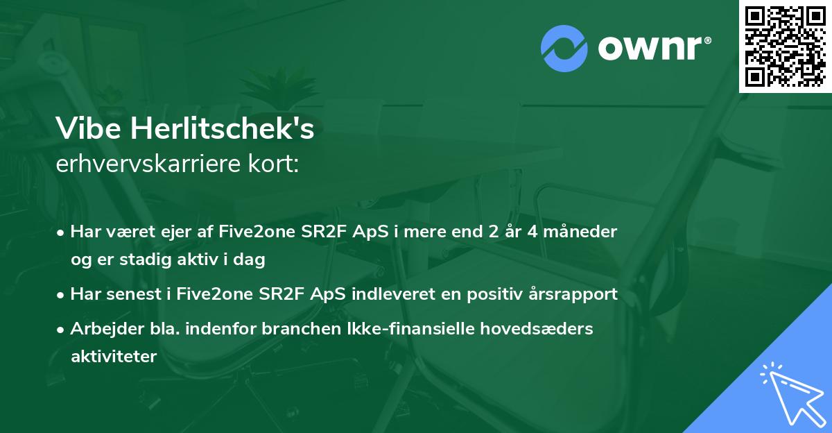 Vibe Herlitschek's erhvervskarriere kort