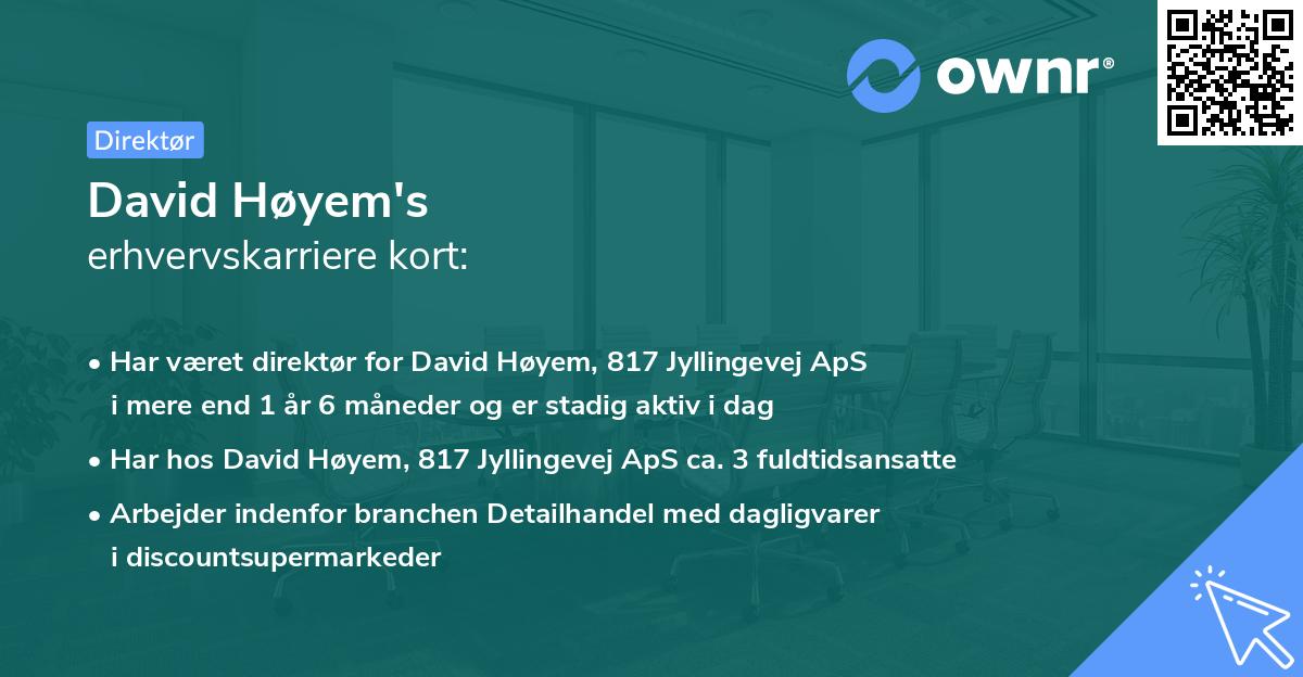 David Høyem's erhvervskarriere kort