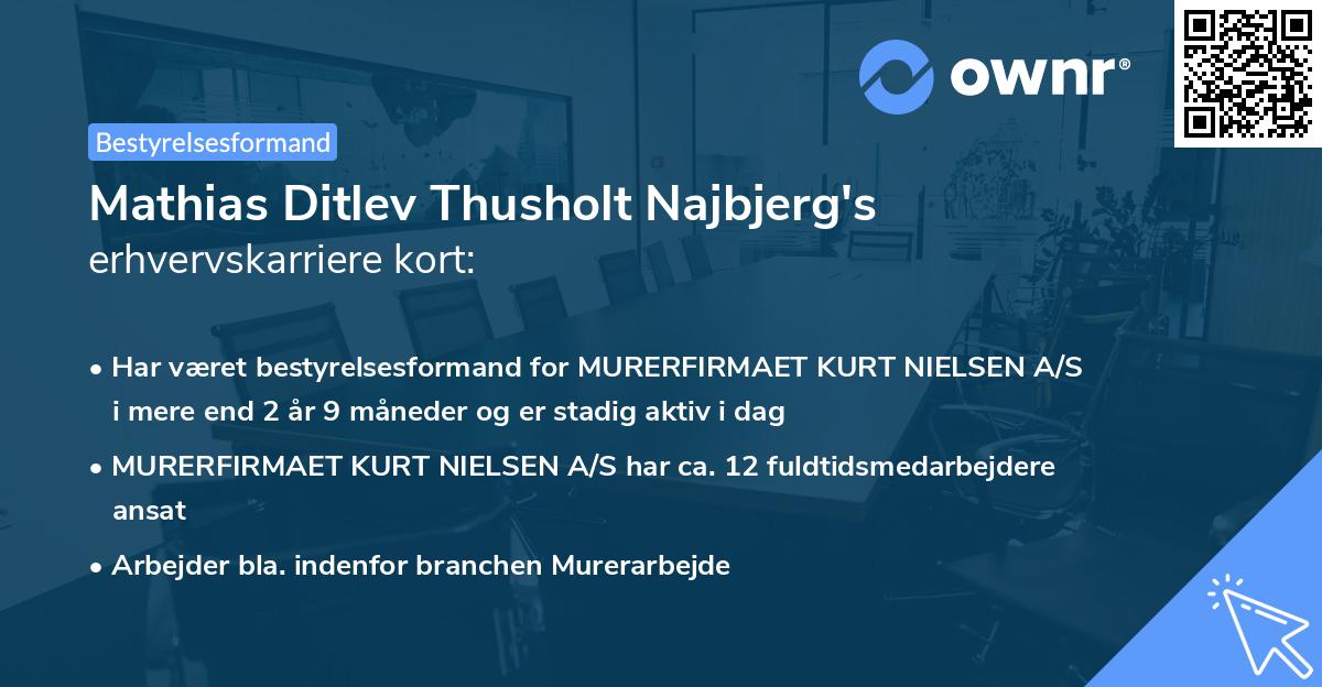 Mathias Ditlev Thusholt Najbjerg's erhvervskarriere kort