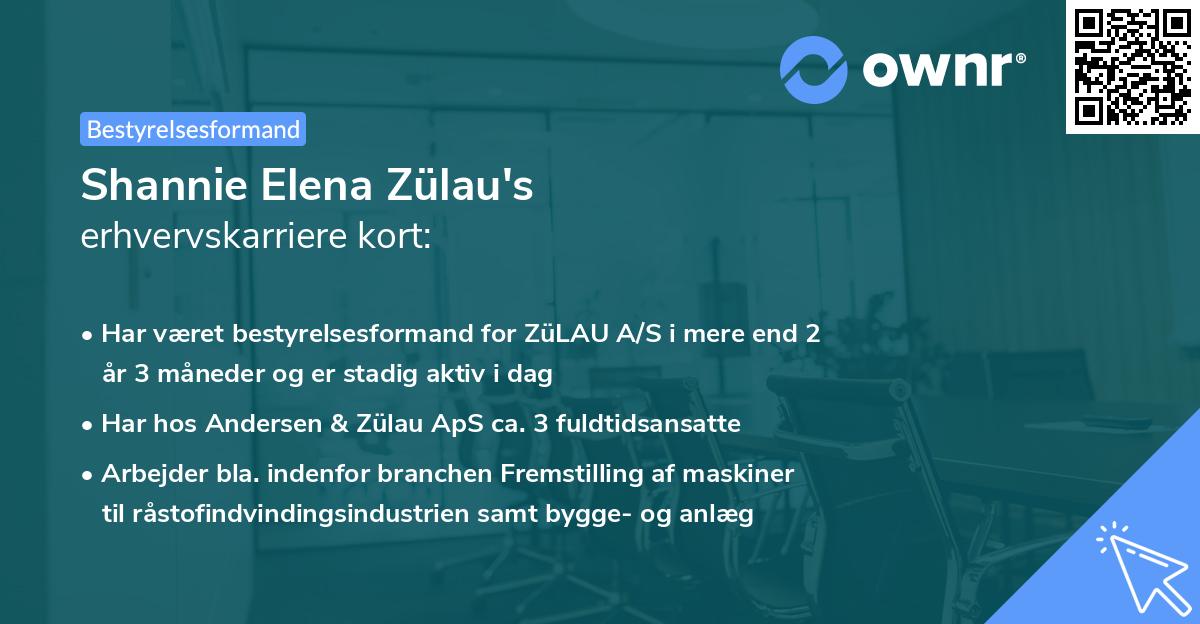 Shannie Elena Zülau's erhvervskarriere kort