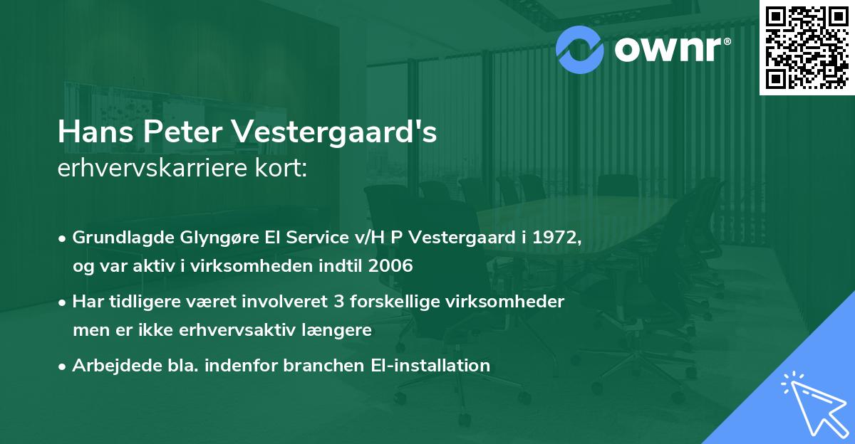Hans Peter Vestergaard's erhvervskarriere kort