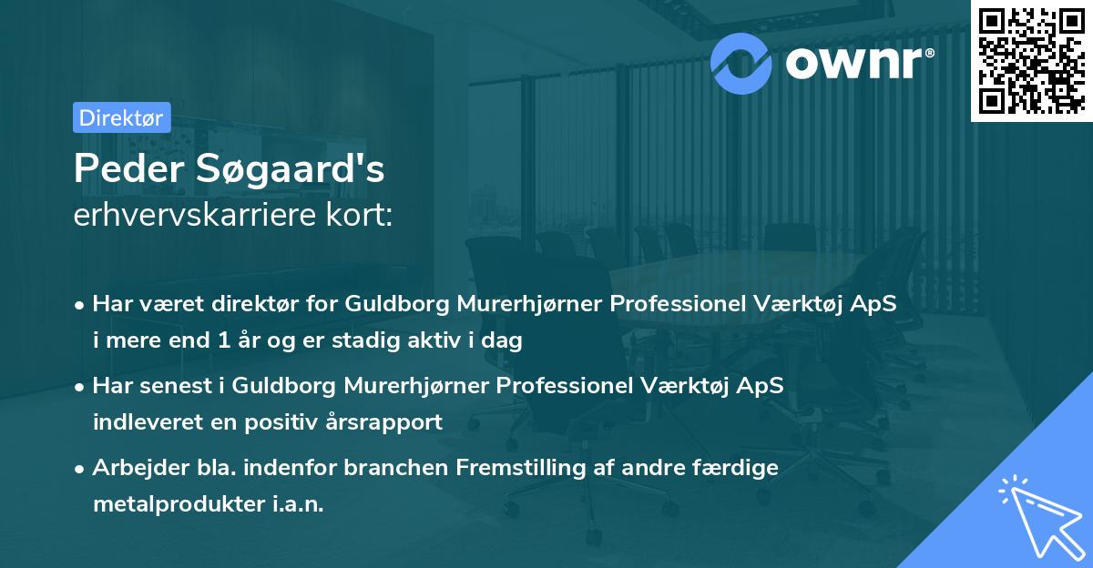 Peder Søgaard's erhvervskarriere kort