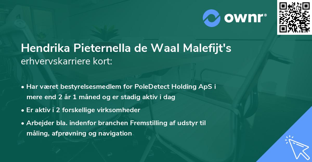 Hendrika Pieternella de Waal Malefijt's erhvervskarriere kort