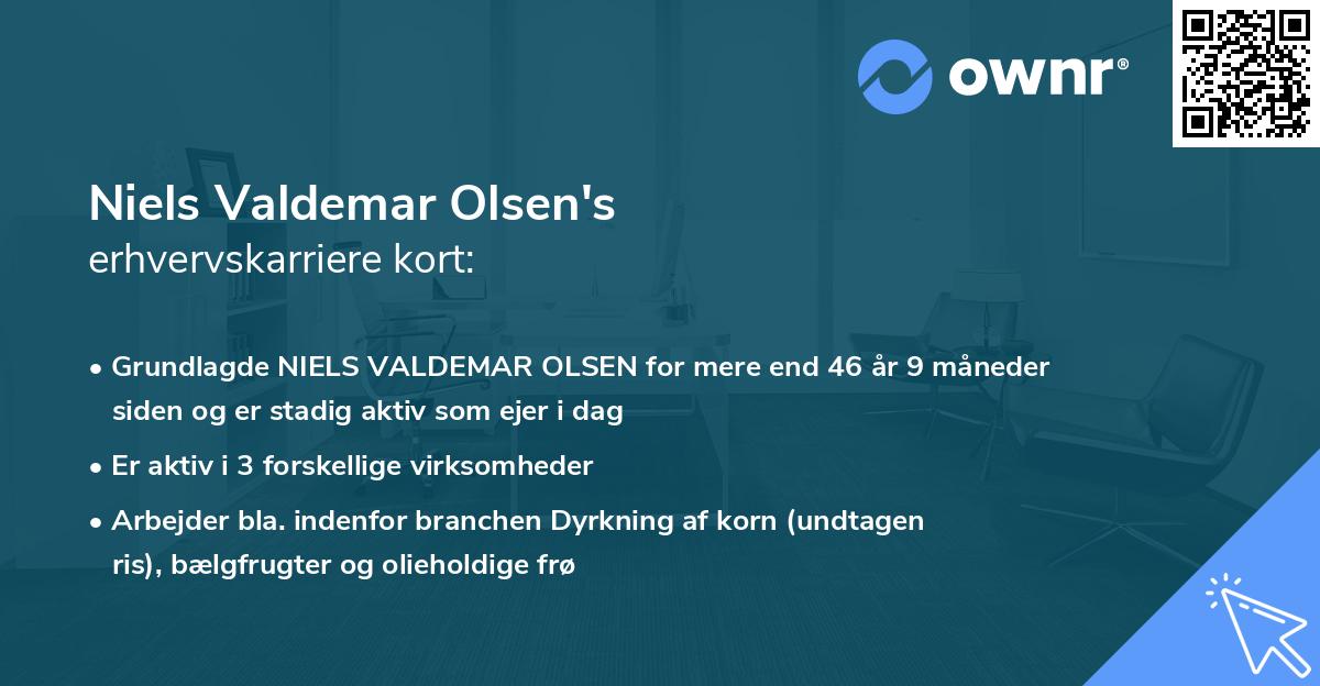 Niels Valdemar Olsen's erhvervskarriere kort