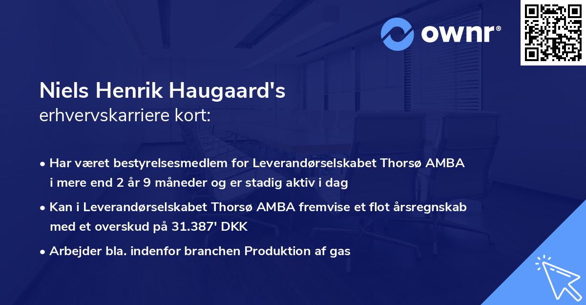 Niels Henrik Haugaard's erhvervskarriere kort