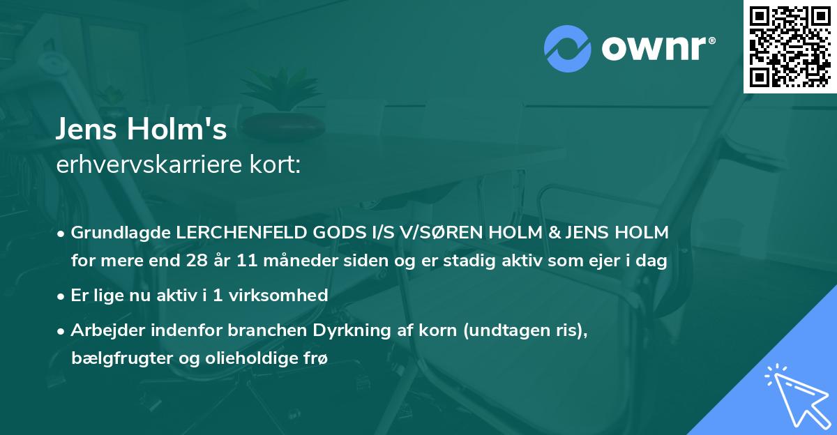 Jens Holm's erhvervskarriere kort