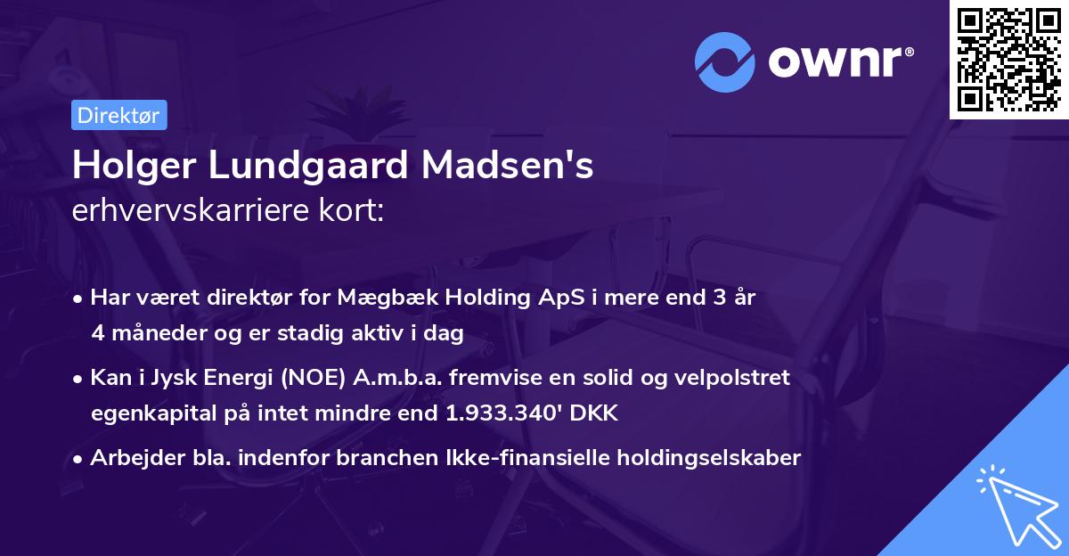 Holger Lundgaard Madsen's erhvervskarriere kort