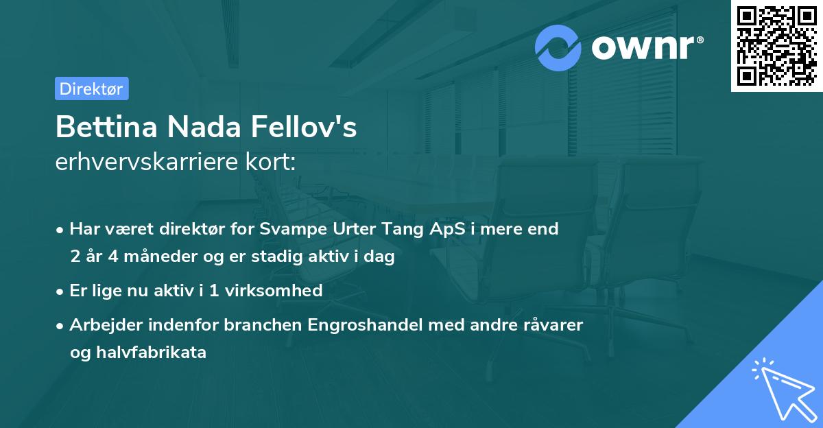Bettina Nada Fellov's erhvervskarriere kort