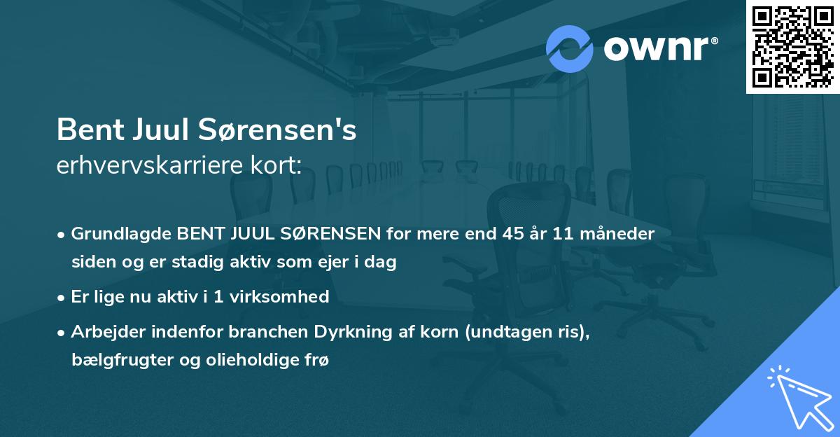 Bent Juul Sørensen's erhvervskarriere kort