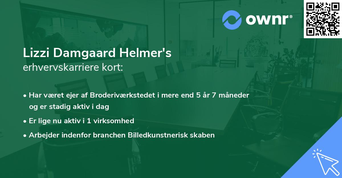 Lizzi Damgaard Helmer's erhvervskarriere kort