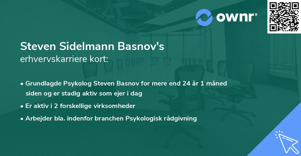 Steven Sidelmann Basnov's erhvervskarriere kort