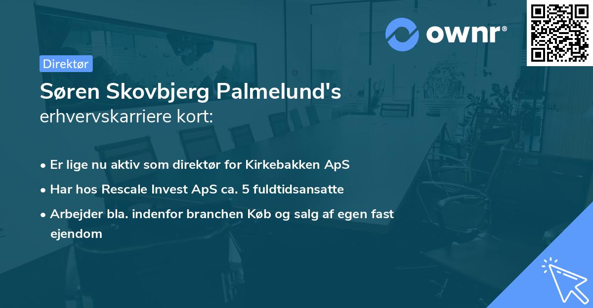 Søren Skovbjerg Palmelund's erhvervskarriere kort